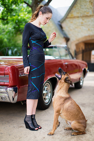 Dog Training