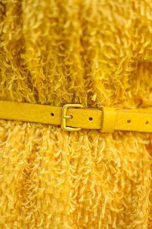 Belt